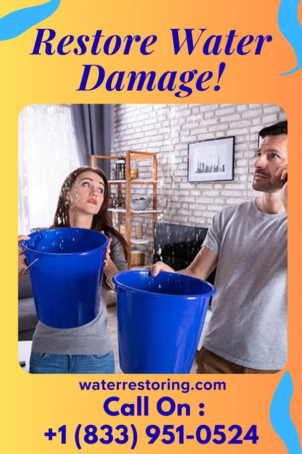 water restoration Total Water Damage Co West Cape May