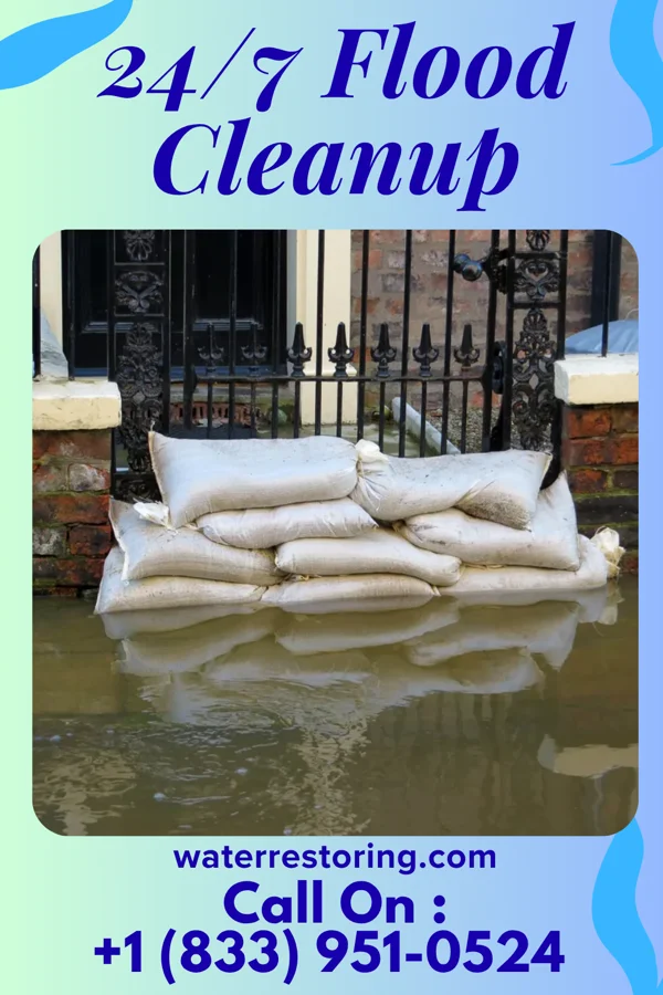 24/7 Flood Cleanup in West Cape May, NJ