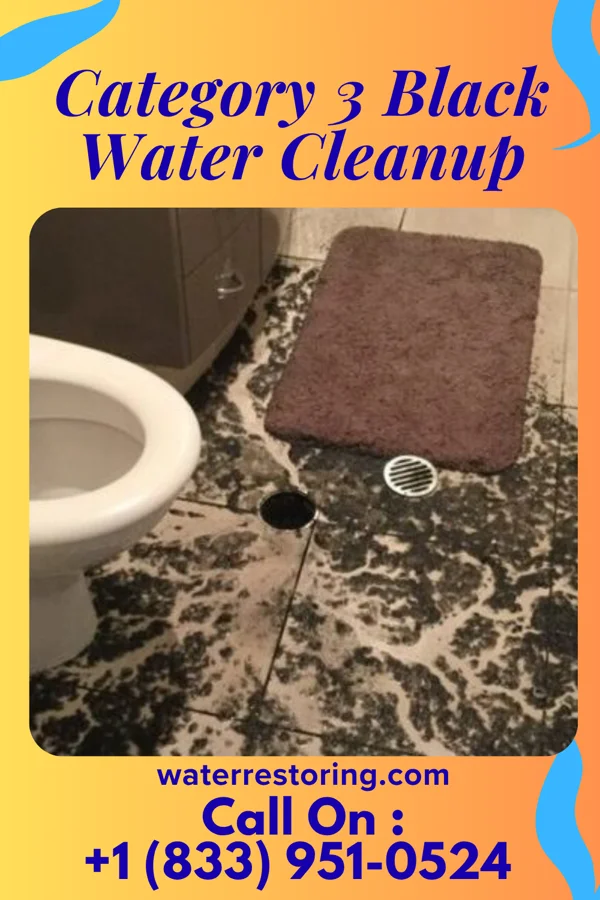 Category 3 Black Water Cleanup in West Cape May, NJ