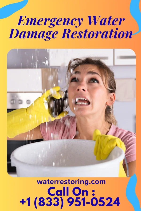 Emergency Water Damage Restoration in West Cape May, NJ