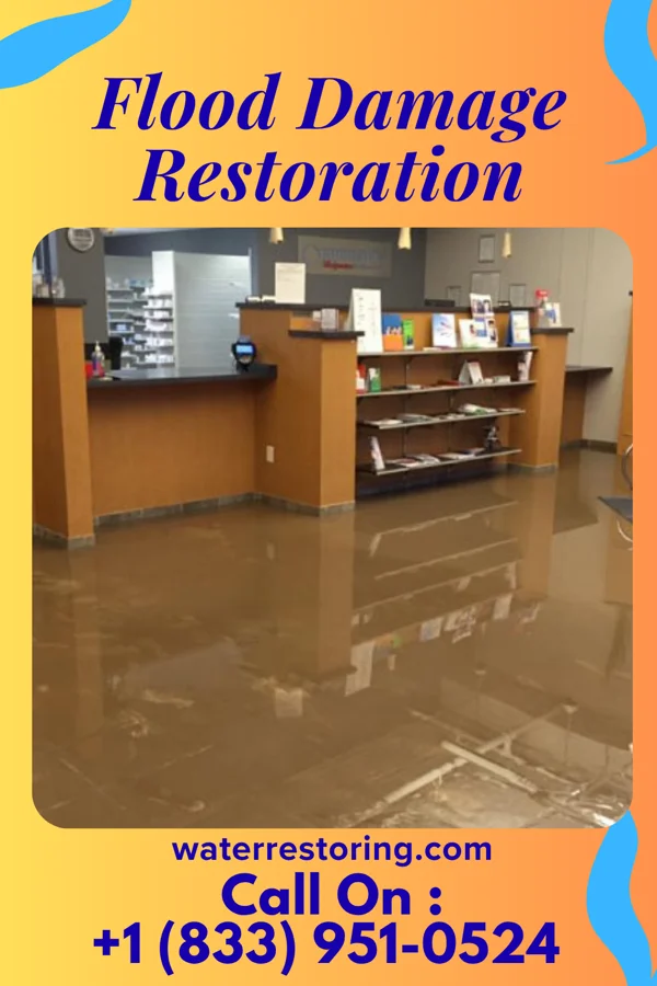 Flood Damage Restoration in West Cape May, NJ