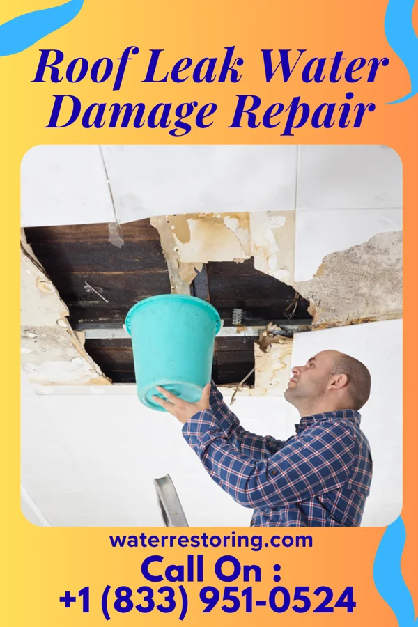 Roof Leak Water Damage Repair in West Cape May, NJ