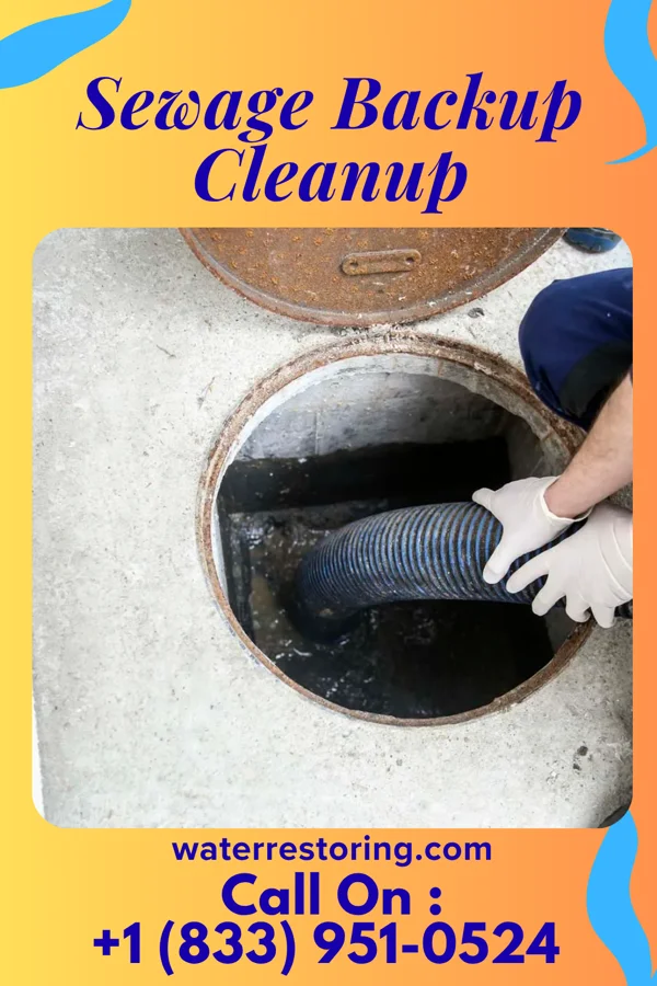 Sewage Backup Cleanup in West Cape May, NJ