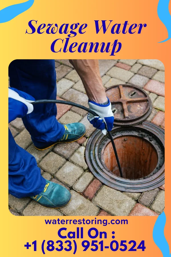 Sewage Water Cleanup in West Cape May, NJ