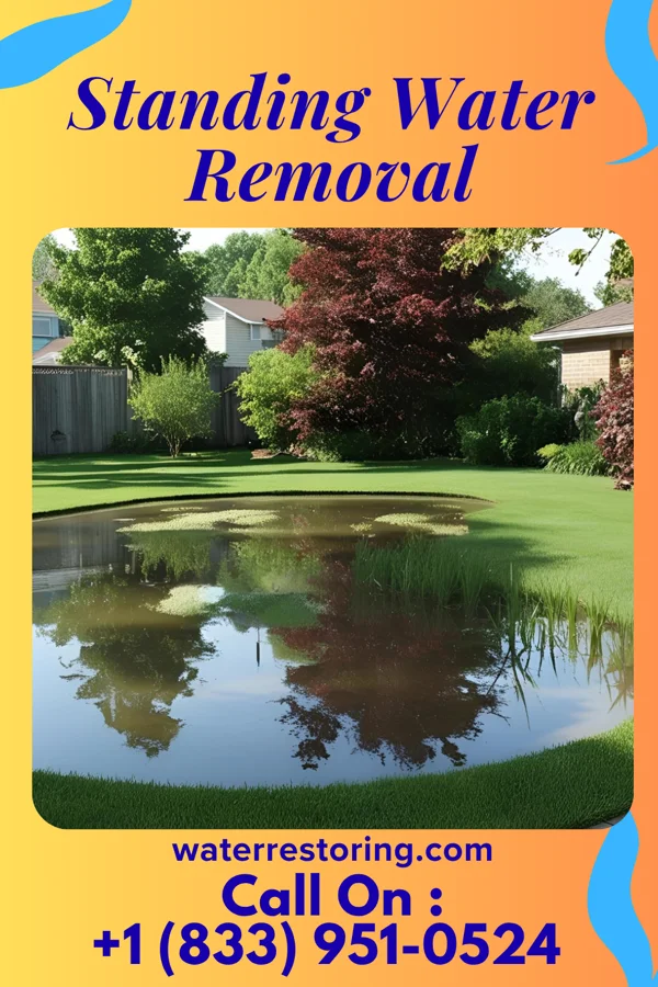 Standing Water Removal in West Cape May, NJ